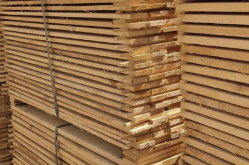 duski i paleti grad varna